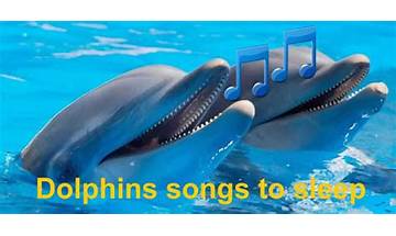 Dolphins songs to sleep for Android - Download the APK from Habererciyes